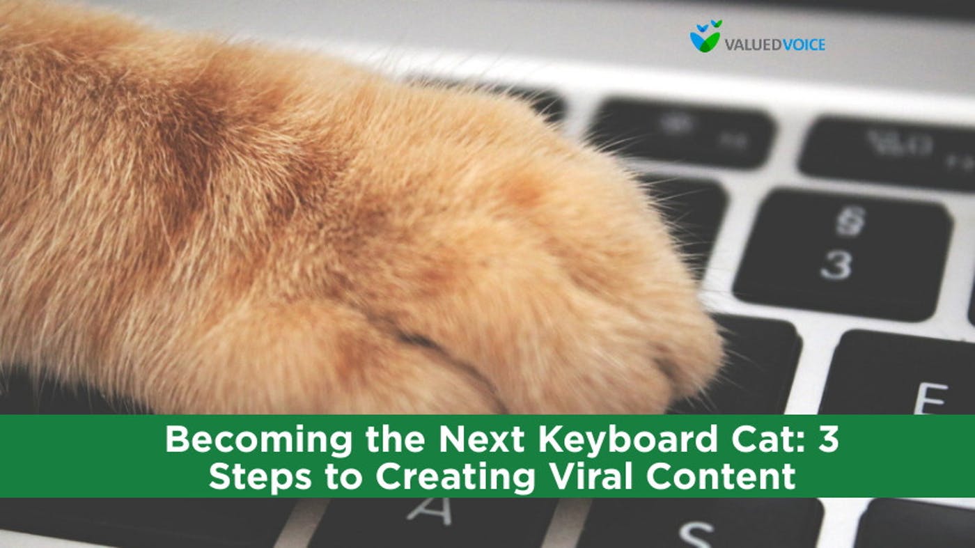 ValuedVoice Blog the Next Keyboard Cat 3 Steps to Creating